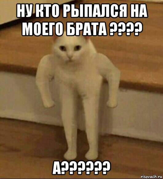 ну кто рыпался на моего брата ???? а??????, Мем  Полукот