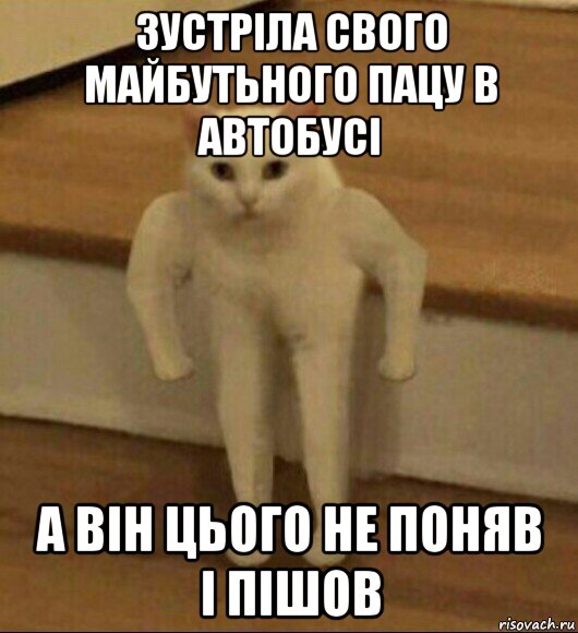 зустріла свого майбутьного пацу в автобусі а він цього не поняв і пішов, Мем  Полукот