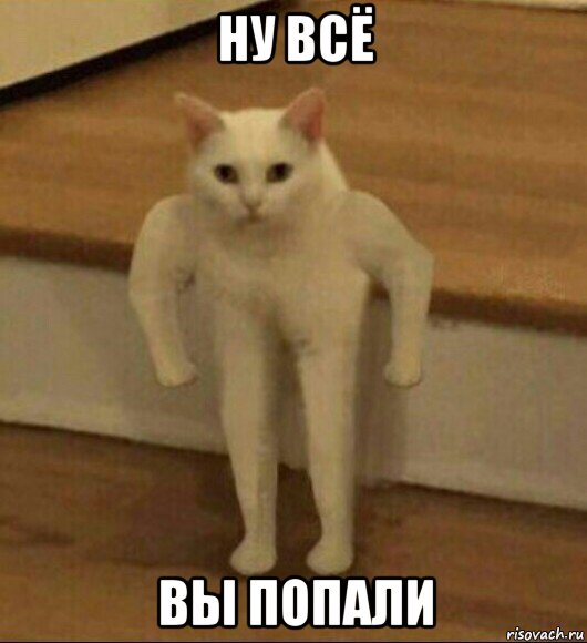 ну всё вы попали, Мем  Полукот