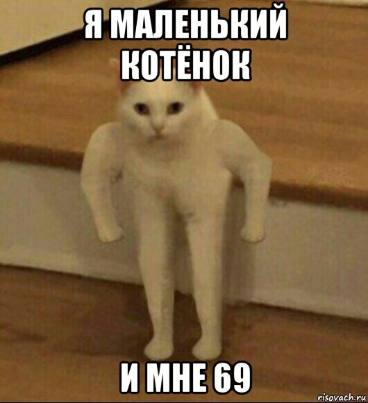 я маленький котёнок и мне 69, Мем  Полукот