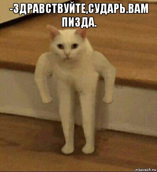 -здравствуйте,сударь.вам пизда. , Мем  Полукот