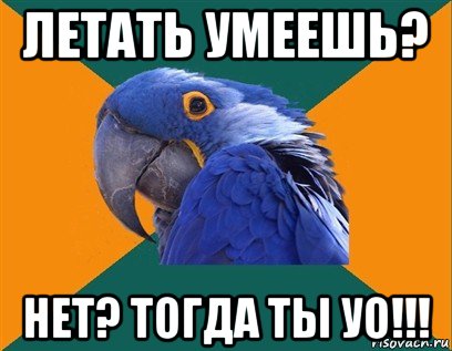 летать умеешь? нет? тогда ты уо!!!, Мем Попугай параноик