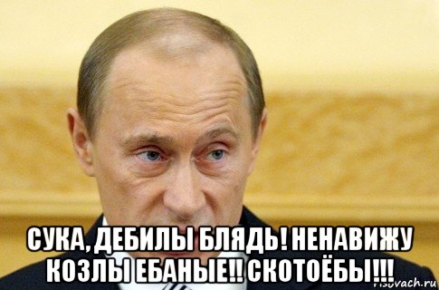  сука, дебилы блядь! ненавижу козлы ебаные!! скотоёбы!!!, Мем путин