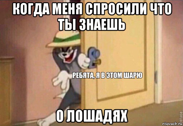 когда меня спросили что ты знаешь о лошадях, Мем    Ребята я в этом шарю