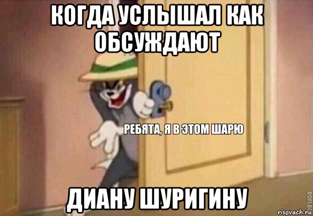 когда услышал как обсуждают диану шуригину, Мем    Ребята я в этом шарю