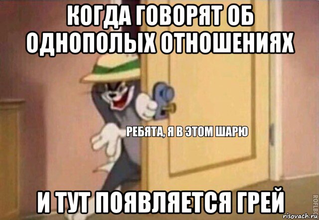 когда говорят об однополых отношениях и тут появляется грей, Мем    Ребята я в этом шарю