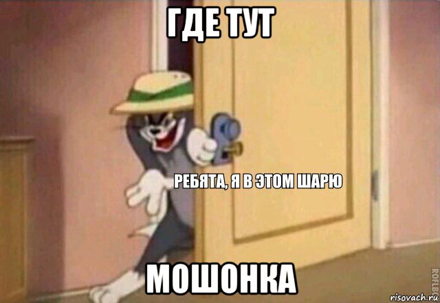 где тут мошонка, Мем    Ребята я в этом шарю