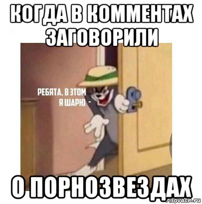 когда в комментах заговорили о порнозвездах, Мем Ребята я в этом шарю