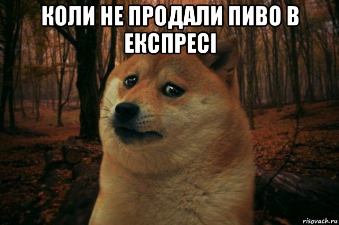 коли не продали пиво в експресі , Мем SAD DOGE