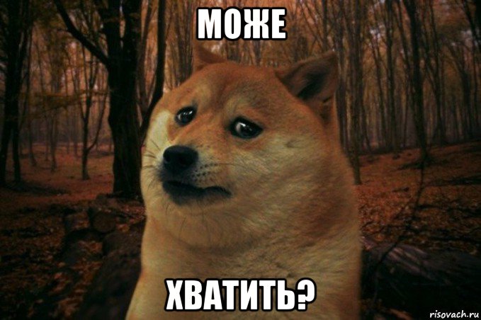 може хватить?, Мем SAD DOGE