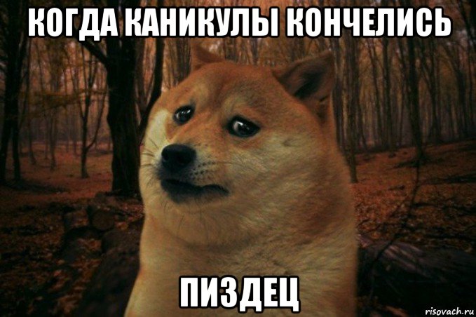 когда каникулы кончелись пиздец, Мем SAD DOGE