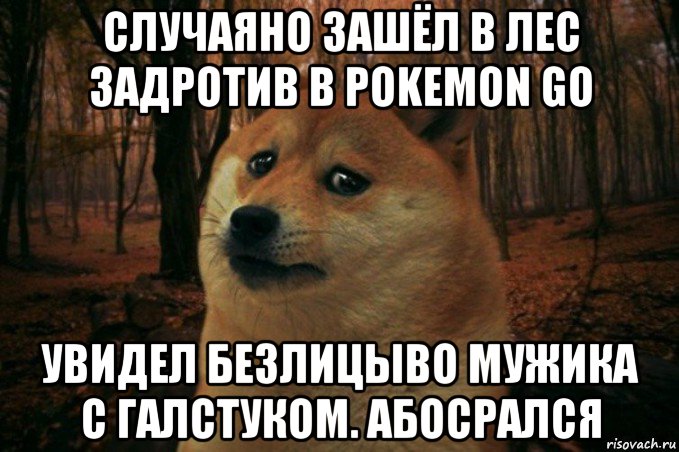 случаяно зашёл в лес задротив в pokemon go увидел безлицыво мужика с галстуком. абосрался, Мем SAD DOGE