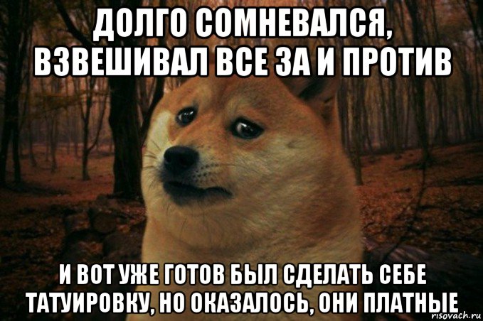 долго сомневался, взвешивал все за и против и вот уже готов был сделать себе татуировку, но оказалось, они платные, Мем SAD DOGE