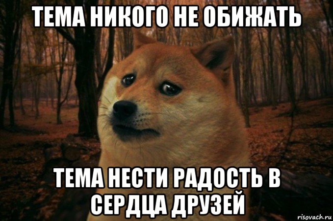 тема никого не обижать тема нести радость в сердца друзей, Мем SAD DOGE