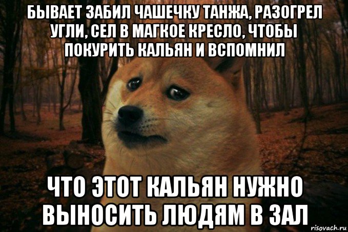 бывает забил чашечку танжа, разогрел угли, сел в магкое кресло, чтобы покурить кальян и вспомнил что этот кальян нужно выносить людям в зал, Мем SAD DOGE