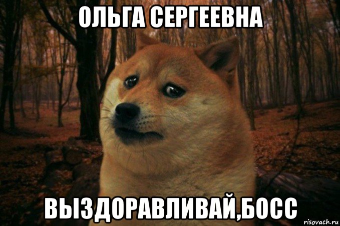 ольга сергеевна выздоравливай,босс, Мем SAD DOGE