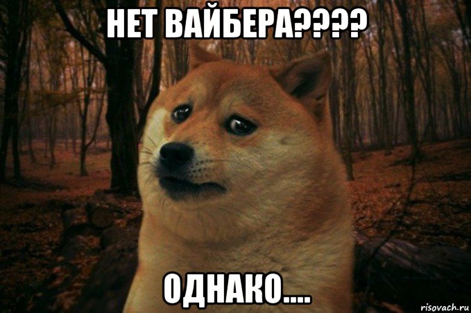 нет вайбера???? однако...., Мем SAD DOGE