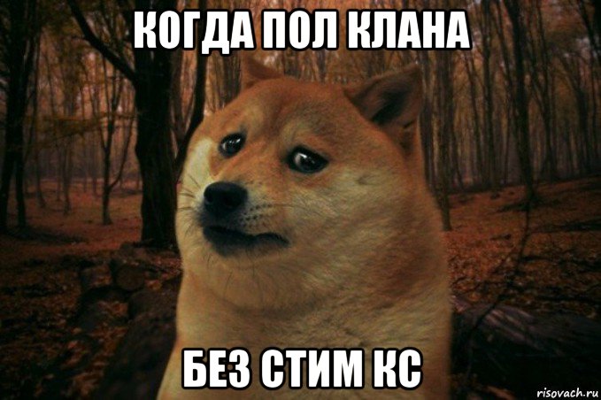 когда пол клана без стим кс, Мем SAD DOGE