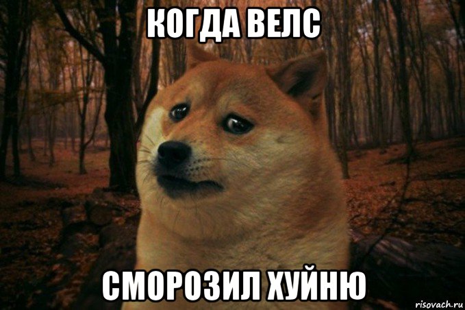 когда велс сморозил хуйню, Мем SAD DOGE