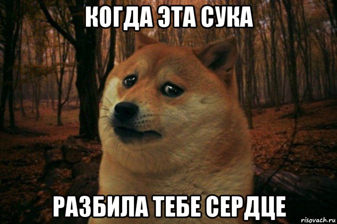 когда эта сука разбила тебе сердце, Мем SAD DOGE