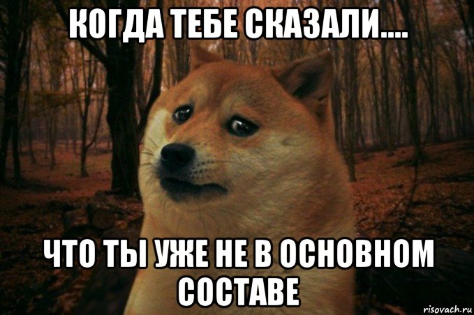 когда тебе сказали.... что ты уже не в основном составе, Мем SAD DOGE