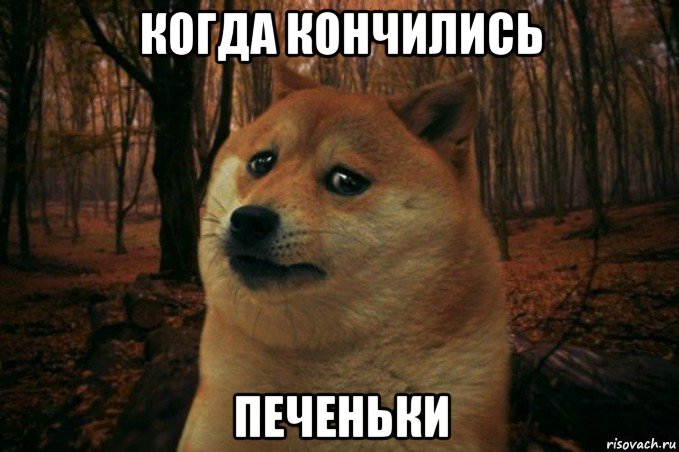 когда кончились печеньки, Мем SAD DOGE