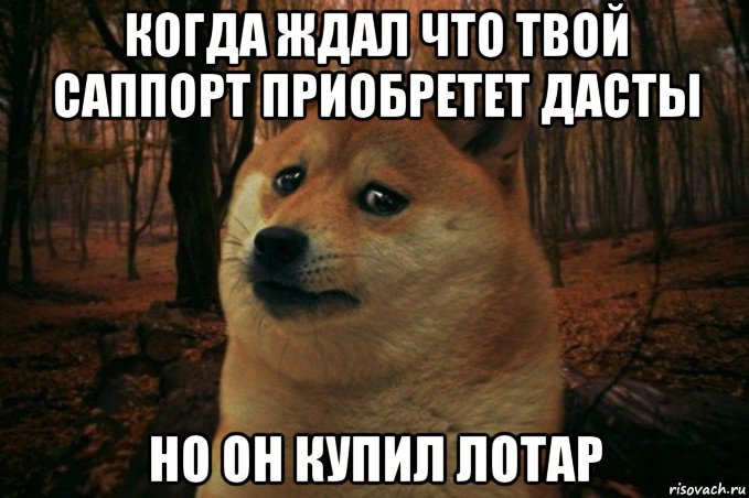 когда ждал что твой саппорт приобретет дасты но он купил лотар, Мем SAD DOGE