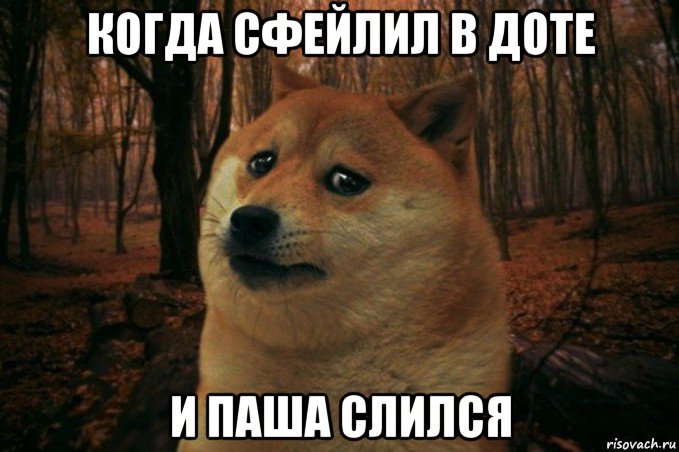 когда сфейлил в доте и паша слился, Мем SAD DOGE