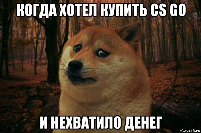 когда хотел купить cs go и нехватило денег, Мем SAD DOGE