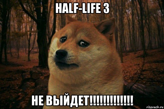half-life 3 не выйдет!!!!!!!!!!!!!, Мем SAD DOGE