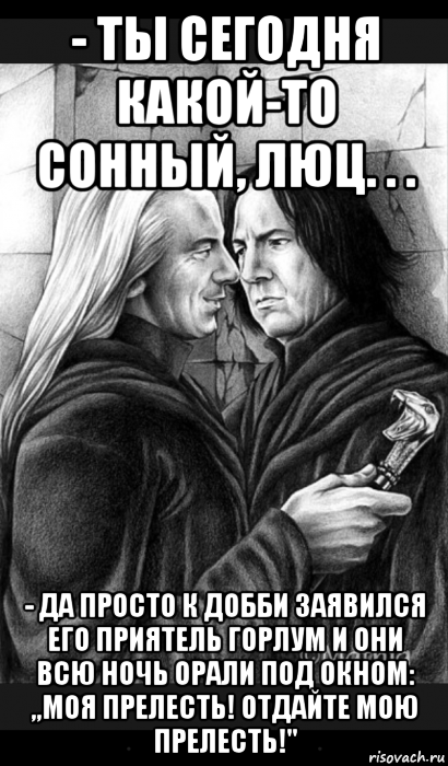 - ты сегодня какой-то сонный, люц. . . - да просто к добби заявился его приятель горлум и они всю ночь орали под окном: ,,моя прелесть! отдайте мою прелесть!'', Мем Снейп