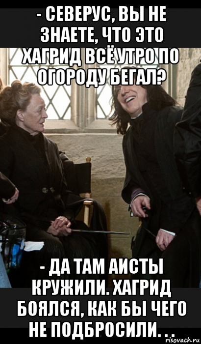 - северус, вы не знаете, что это хагрид всё утро по огороду бегал? - да там аисты кружили. хагрид боялся, как бы чего не подбросили. . ., Мем  Снейп