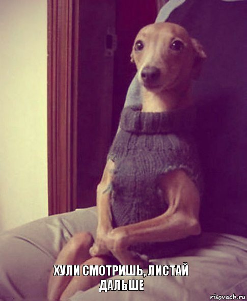 Хули смотришь, листай дальше, Комикс snoop dogg