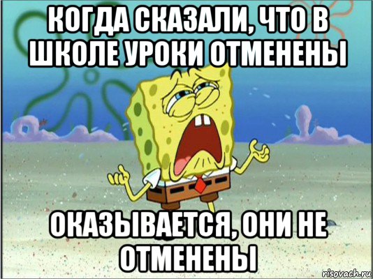 когда сказали, что в школе уроки отменены оказывается, они не отменены, Мем Спанч Боб плачет