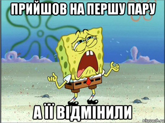 прийшов на першу пару а її відмінили, Мем Спанч Боб плачет