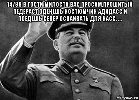 14/88 в гости милости вас просим,прошитый педераст оденешь костюмчик адидасс и поедешь север осваивать для насс. ... , Мем сталин расстрелять