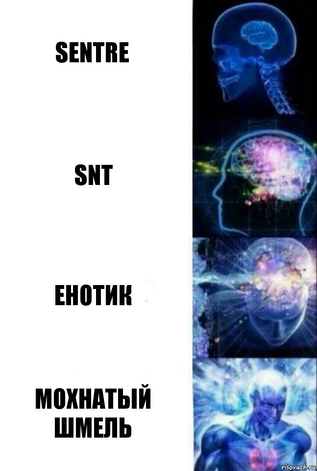 Sentre SnT Енотик Мохнатый шмель