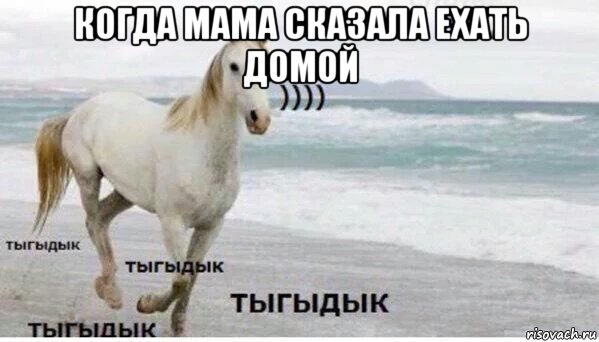 когда мама сказала ехать домой , Мем   Тыгыдык