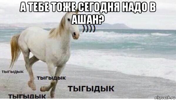 а тебе тоже сегодня надо в ашан? , Мем   Тыгыдык