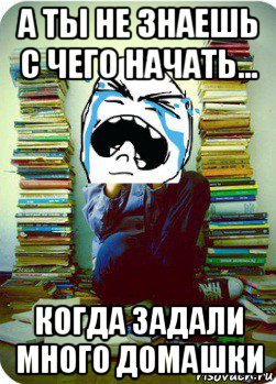 а ты не знаешь с чего начать... когда задали много домашки, Мем Типовий десятикласник