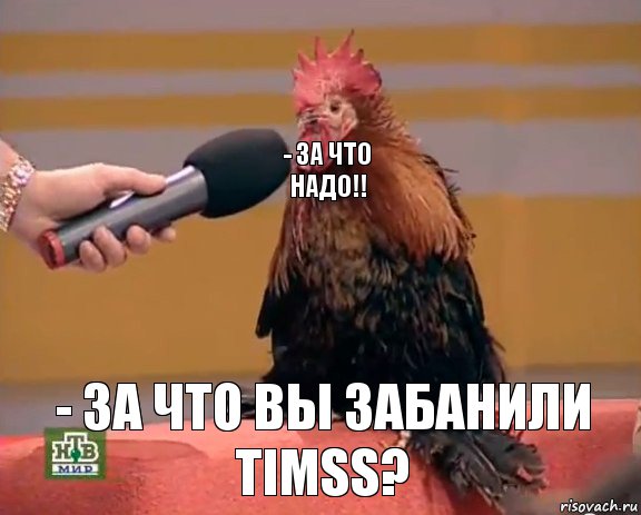 - За что надо!! - За что Вы забанили TimSS?