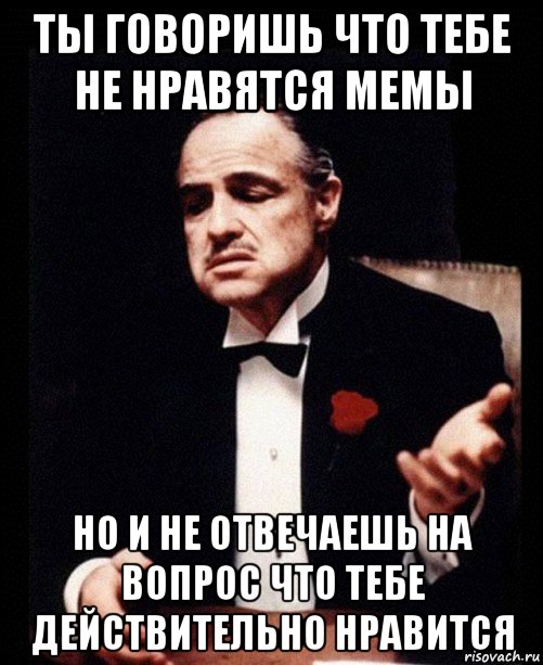 ты говоришь что тебе не нравятся мемы но и не отвечаешь на вопрос что тебе действительно нравится, Мем ты делаешь это без уважения