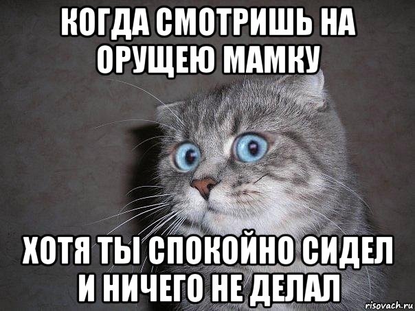 когда смотришь на орущею мамку хотя ты спокойно сидел и ничего не делал, Мем  удивлённый кот