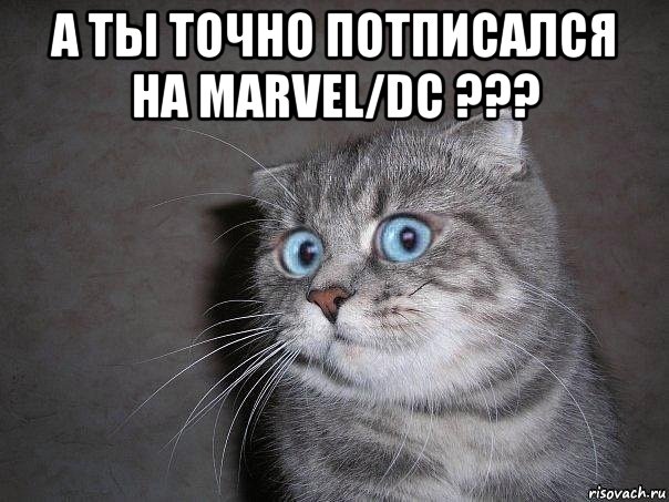 а ты точно потписался на marvel/dc ??? , Мем  удивлённый кот