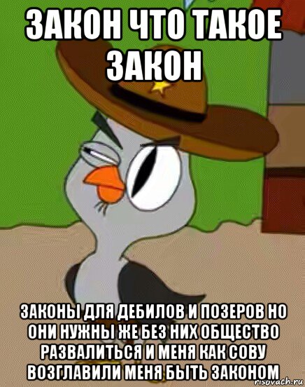 закон что такое закон законы для дебилов и позеров но они нужны же без них общество развалиться и меня как сову возглавили меня быть законом, Мем    Упоротая сова