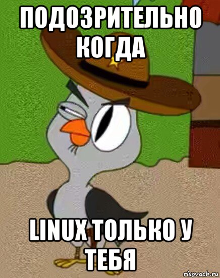 подозрительно когда linux только у тебя, Мем    Упоротая сова