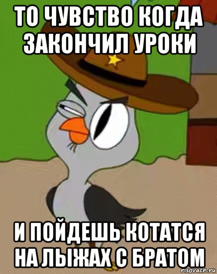 то чувство когда закончил уроки и пойдешь котатся на лыжах с братом, Мем    Упоротая сова