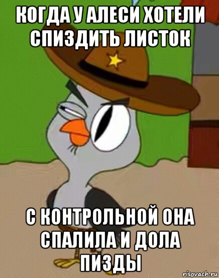 когда у алеси хотели спиздить листок с контрольной она спалила и дола пизды, Мем    Упоротая сова