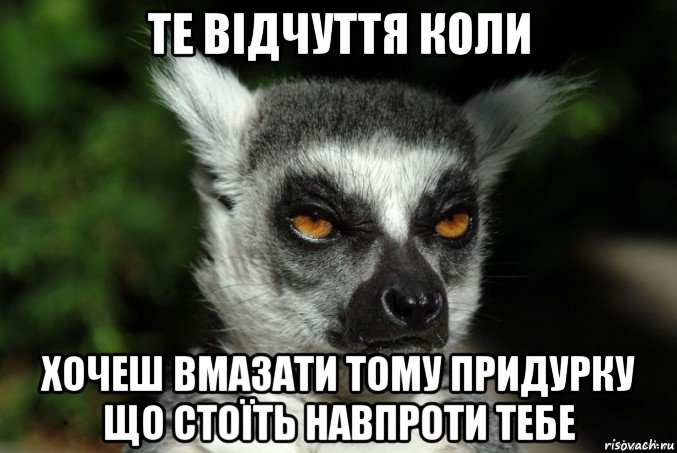 те відчуття коли хочеш вмазати тому придурку що стоїть навпроти тебе, Мем   Я збагоен