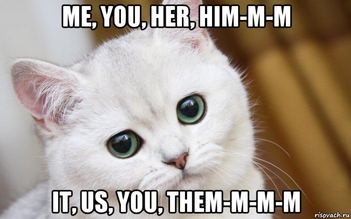 me, you, her, him-m-m it, us, you, them-m-m-m, Мем  В мире грустит один котик